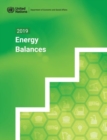 Image for 2019 energy balances