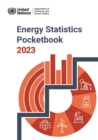 Image for Energy statistics pocketbook 2023