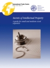 Image for Secrets of Intellectual Property