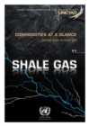 Image for Commodities at a Glance: Special Issue on Shale Gas