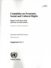 Image for Committee on Economic, Social and Cultural Rights: Report on the Forty-Sixth and Forty-Seventh Sessions : (2-20 May 2011, 14 November-2 December 2011)