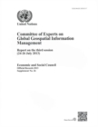 Image for Committee of Experts on Global Geospatial Information Management