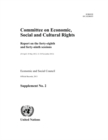 Image for Report on the Forty-eighth and Forty-ninth Sessions of the Committee on Economic, Social and Cultural Rights (30 April-18 May 2012 and 12-30 November 2012)