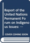 Image for Report on the Thirteenth Session on the United Nations Permanent Forum on Indigenous Issues