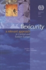 Image for Flexicurity