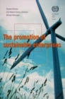 Image for The promotion of sustainable enterprises