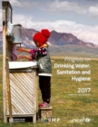 Image for Progress on drinking-water, sanitation and hygiene