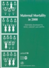 Image for Maternal Mortality in 2000