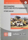 Image for Recognizing Peste des Petits Ruminants : A Field Manual (FAO Animal Health Manual)