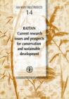 Image for Rattan : Current Research Issues and Prospects for Conservation and Sustainable Development (Non-Wood Forest Products)