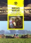Image for Bread wheat : improvement and production