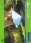 Image for Rice is Life, International Year of Rice 2004 and Its Implementation