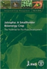 Image for Jatropha : A Smallholder Bioenergy Crop. The Potential for Pro-Poor Development