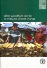 Image for What Woodfuels Can Do to Mitigate Climate Change