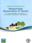 Image for Voluntary Guidelines on the Responsible Governance of Tenure of Land, Fisheries and Forests in the Context of National Food Security