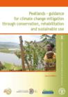 Image for Peatlands : Guidance for Climate Change Mitigation through Conservation, Rehabilitation and Sustainable use