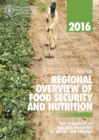 Image for Africa regional overview of food insecurity : the challenges of building resilience to shocks and stresses