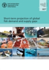 Image for Short-term Projection of Global Fish Demand and Supply Gaps