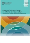 Image for Impacts of climate change on fisheries and aquaculture : synthesis of current knowledge, adaptation and mitigation options