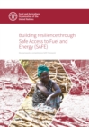 Image for Building resilience through Safe Access to Fuel and Energy (SAFE)