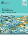 Image for Rebuilding of marine fisheries