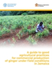 Image for A guide to good agricultural practices for commercial production of ginger under field conditions in Jamaica