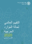 Image for Global Forest Resources Assessment 2020 (Arabic Edition) : Main Report