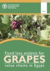 Image for Food loss analysis for grapes value chains in Egypt