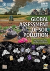 Image for Global assessment of soil pollution : summary for policymakers