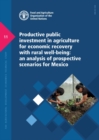 Image for Productive public investment in agriculture for economic recovery with rural well-being