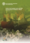 Image for Urban food system and nutrition assessment in Pokhara, Nepal : Project report