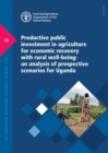 Image for Productive public investment in agriculture for economic recovery with rural well-being : an analysis of prospective scenarios for Uganda