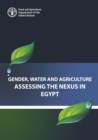 Image for Gender, Water and Agriculture : Assessing the Nexus in Egypt