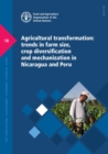 Image for Agricultural transformation  : trends in farm size, crop diversification and mechanization in Nicaragua and Peru