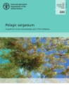 Image for Pelagic sargassum : a guide to current and potential uses in the Caribbean