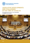 Image for Legislative developments and challenges in the time of COVID-19