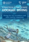 Image for A practical guide on safe hookah diving