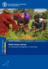 Image for Global lessons learned on sustainable reintegration in rural areas