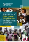 Image for Elimination of child labour in agriculture through social protection