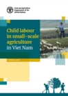 Image for Child labour in small-scale agriculture in Viet Nam : technical paper