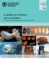 Image for A guide to northern sea cucumbers : the biology and management of Cucumaria frondosa