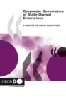 Image for Corporate Governance of State-owned Enterprises, a Survey of OECD Countries
