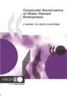 Image for Comparate Governance of State-Owned Enterprises: A Survey Of OECD Countries.