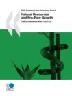 Image for DAC Guidelines and Reference Series Natural Resources and Pro-Poor Growth : The Economics and Politics