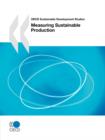 Image for OECD Sustainable Development Studies Measuring Sustainable Production