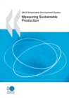 Image for Measuring sustainable production