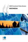 Image for OECD Investment Policy Reviews OECD Investment Policy Reviews : Indonesia 2010