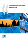 Image for Indonesia 2010