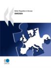 Image for Better Regulation in Europe Better Regulation in Europe : Sweden 2010