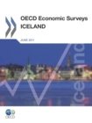Image for OECD Economic Surveys: Iceland: 2011.